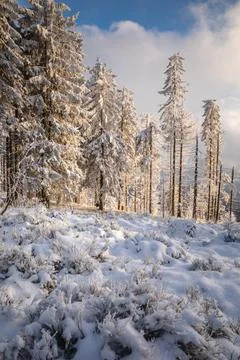 Gorce Mountains in winter Foto stock