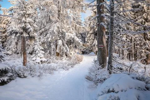 Gorce Mountains in winter Stock-Fotos