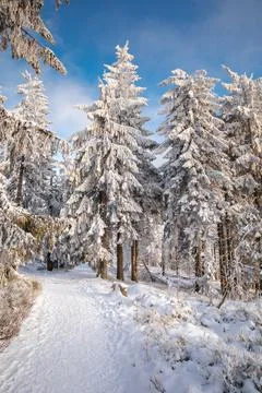 Gorce Mountains in winter Stock-Fotos