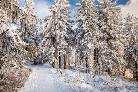 Gorce Mountains in winter Stock Photos