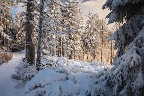Gorce Mountains in winter Stock Photos