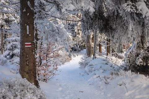 Gorce Mountains in winter Stock-Fotos