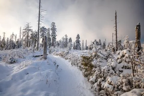 Gorce Mountains in winter Stock-Fotos