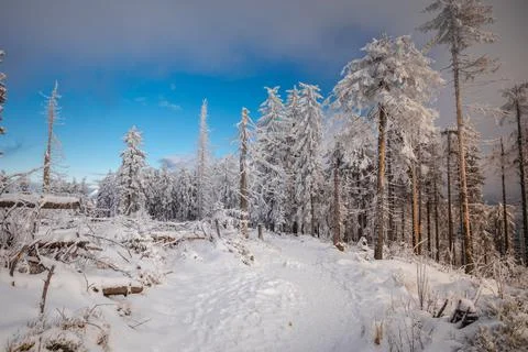 Gorce Mountains in winter Stock Photos