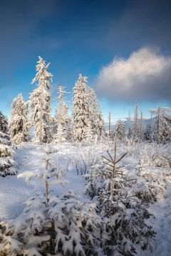 Gorce Mountains in winter Stock Photos