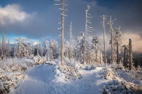 Gorce Mountains in winter Stock Photos