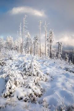Gorce Mountains in winter Stock-Fotos