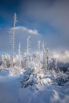 Gorce Mountains in winter Stock Photos