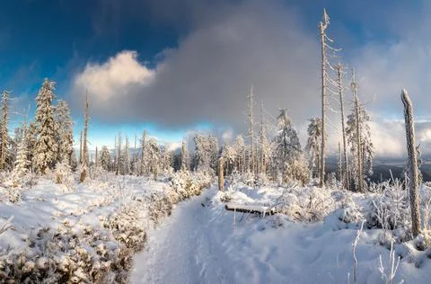 Gorce Mountains in winter Stock Photos