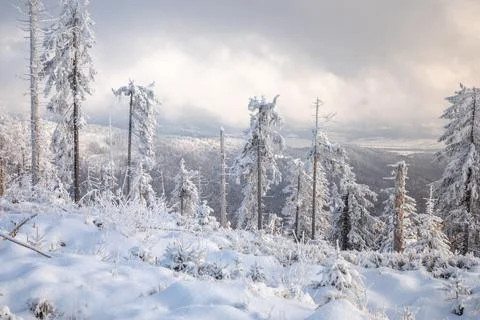 Gorce Mountains in winter Stock Photos