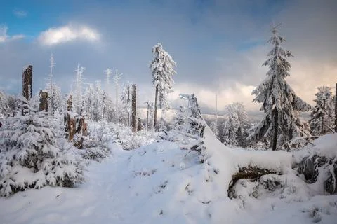 Gorce Mountains in winter Foto stock