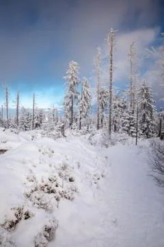 Gorce Mountains in winter Foto stock