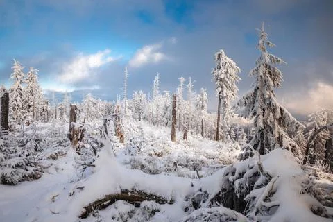 Gorce Mountains in winter Stock-Fotos