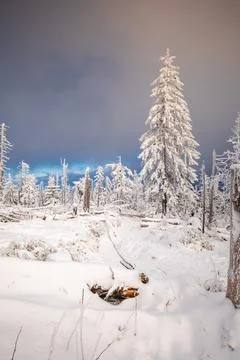Gorce Mountains in winter Stock-Fotos