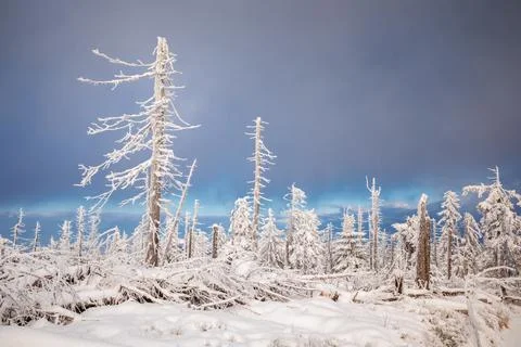 Gorce Mountains in winter Foto stock