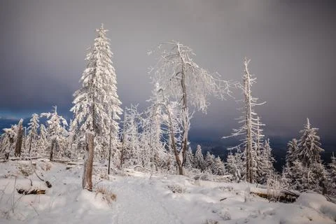 Gorce Mountains in winter Stock-Fotos