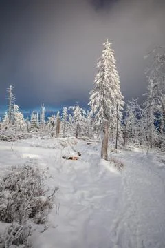 Gorce Mountains in winter Stock-Fotos