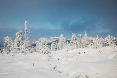 Gorce Mountains in winter Stock Photos