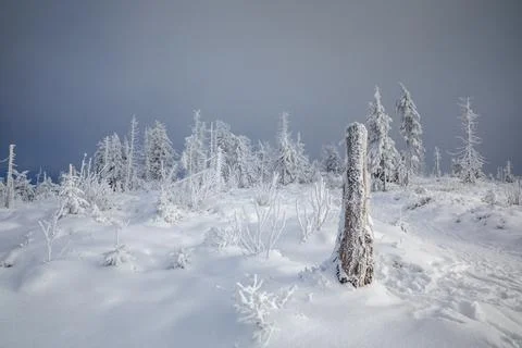 Gorce Mountains in winter Stock-Fotos