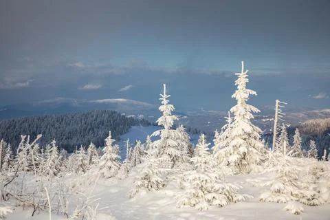 Gorce Mountains in winter Stock-Fotos