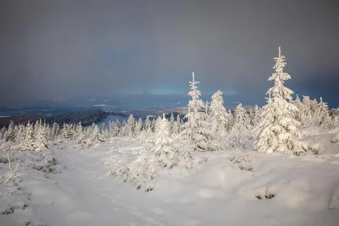 Gorce Mountains in winter Stock Photos