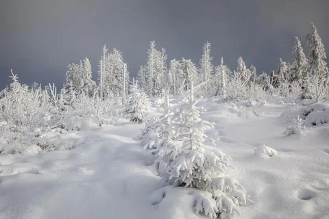 Gorce Mountains in winter Foto stock