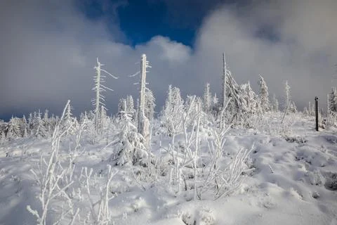 Gorce Mountains in winter Stock Photos