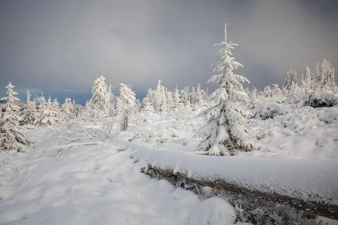 Gorce Mountains in winter Stock-Fotos