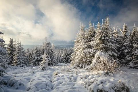 Gorce Mountains in winter Stock-Fotos