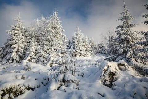 Gorce Mountains in winter Foto stock