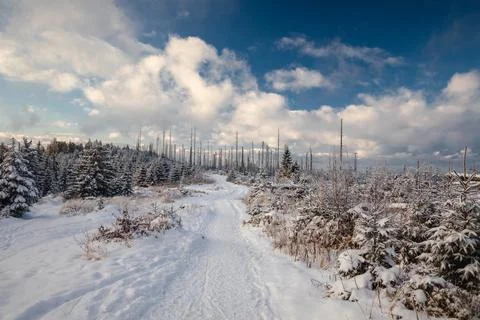 Gorce Mountains in winter Stock Photos