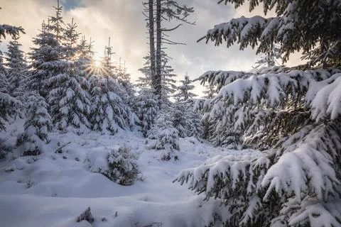 Gorce Mountains in winter Stock Photos