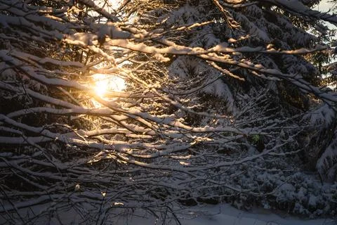 Gorce Mountains in winter Foto stock