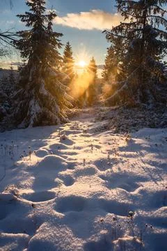 Gorce Mountains in winter Foto stock
