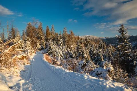 Gorce Mountains in winter Stock-Fotos