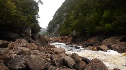 Gordon river Tasmania Stock Footage 46466478