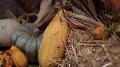 Gords and pumpkins on haystack close Stock Footage 96545313