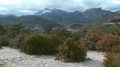 Gorge de Verdon Scrub in Foreground Stock Footage 35602689