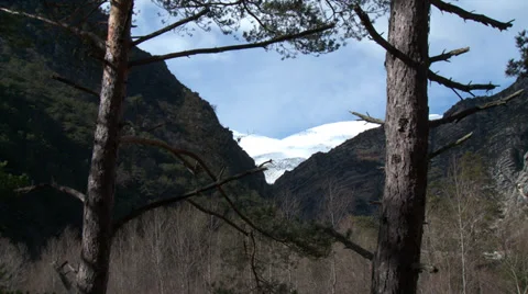 Gorge de Verdon Snowy Peak through Pines Stock Footage 35602575