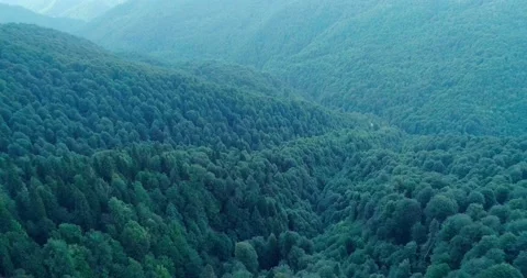 Gorge filled with smoke from forest burning in distance. Stock Footage 209127345