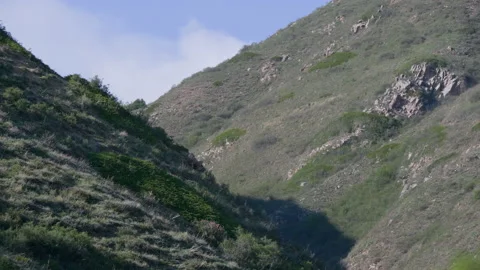 Gorge in the mountains Stock Footage 220954749