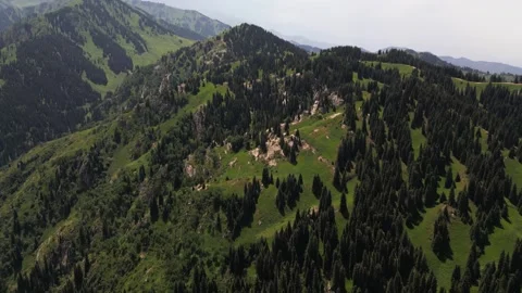 The gorge of Oi Karagai. Mountainous area with different vegetation Stock Footage 313038341