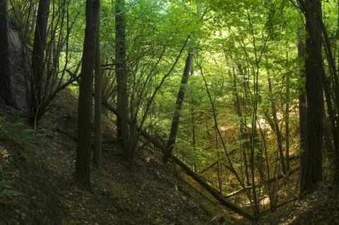 Gorge Stock Photos