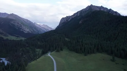 A gorge with a river covered with coniferous trees Video stock 295787558