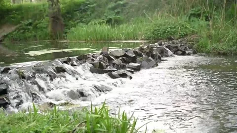 Gorge on the river with a current with stones Stock Footage 130198296
