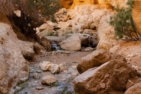 Gorge with a stream and waterfall Ein Bokek Stock Photos