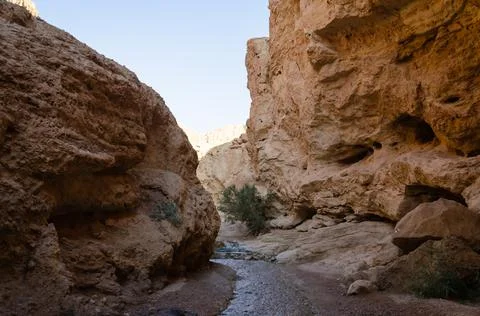 Gorge with a stream and waterfall Ein Bokek 스톡 사진