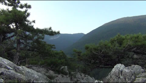 The gorge of Uch-Kosh Stockbeeldmateriaal 28215596