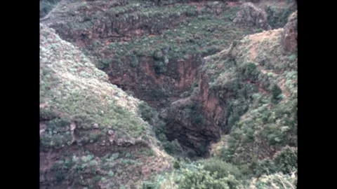 Gorge with Vegetation Stock Footage 278240491