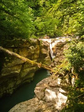 Gorge of white rocks Stock Photos